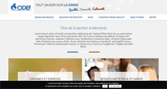 Desktop Screenshot of dinde.fr