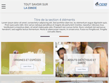 Tablet Screenshot of dinde.fr